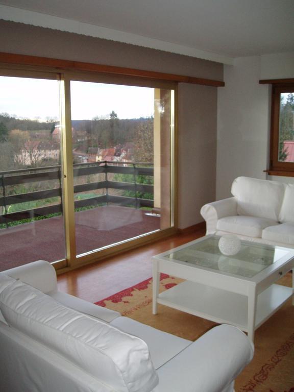 Villa Du Lion D'Or ลาเปอติต-ปีแยร์ ห้อง รูปภาพ